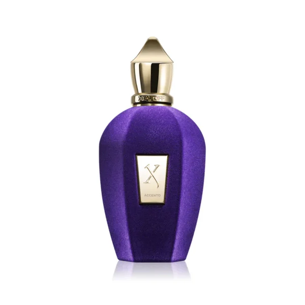 Xerjoff Accento - 100ML