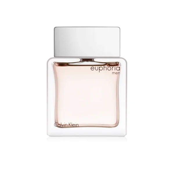Calvin Klein Euphoria Men - 100ML