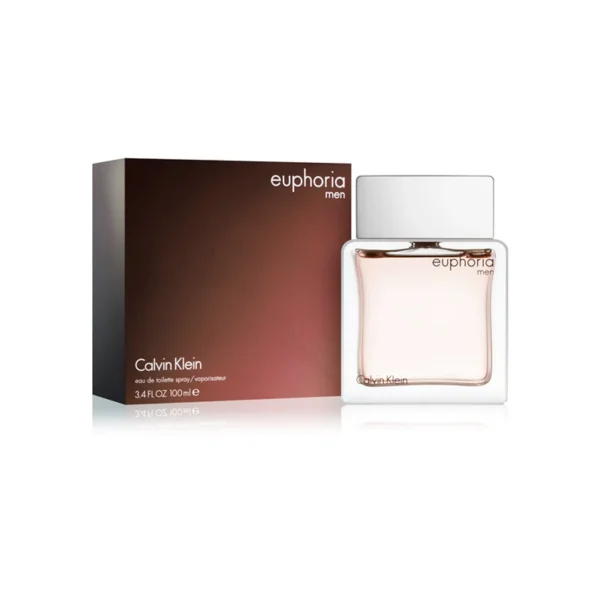Calvin Klein Euphoria Men - 100ML