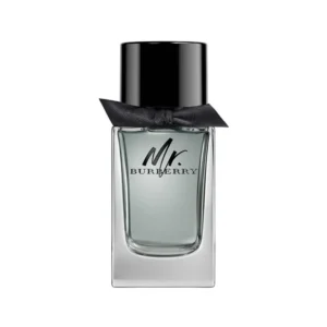 Burberry Mr Burberry Edt - 100ML