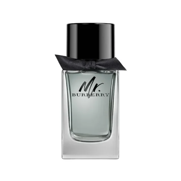 Burberry Mr Burberry Edt - 100ML