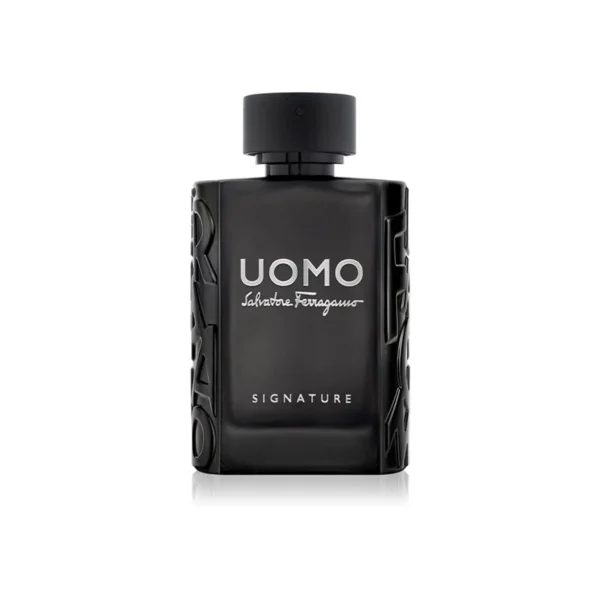 Salvatore Ferragamo Uomo Signature - 100ML